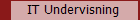 IT Undervisning